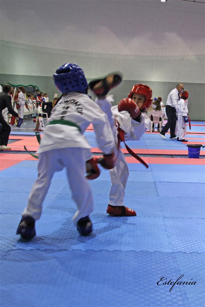 Copa Seul 2018 (478).jpg
